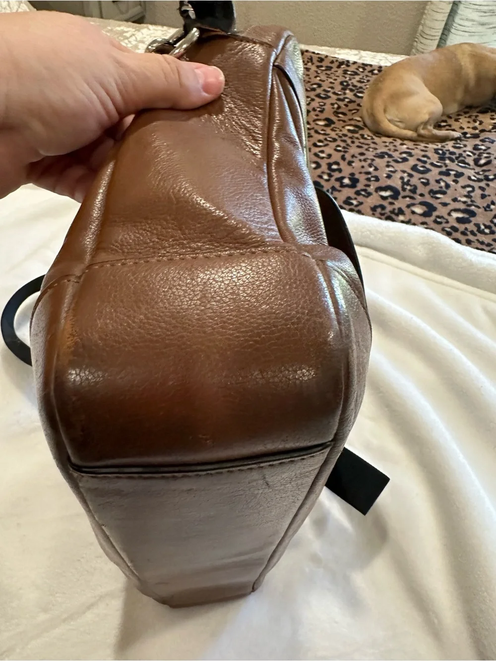 Coach smooth cognac